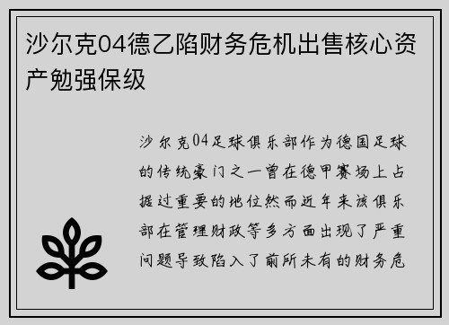 沙尔克04德乙陷财务危机出售核心资产勉强保级 沙尔克04德乙陷财务危机出售核心资产勉强保级